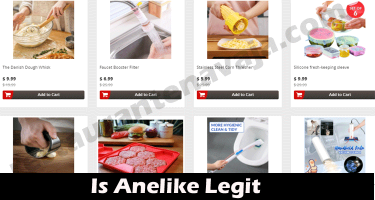 Is Anelike Legit (Oct 2021) Read Reliable Reviews Here!