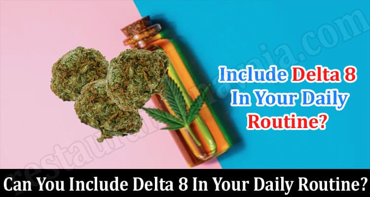 How Can You Include Delta 8 In Your Daily Routine
