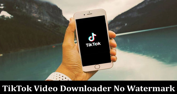 Complete Information About TikTok Video Downloader No Watermark - Instantly Download for Free