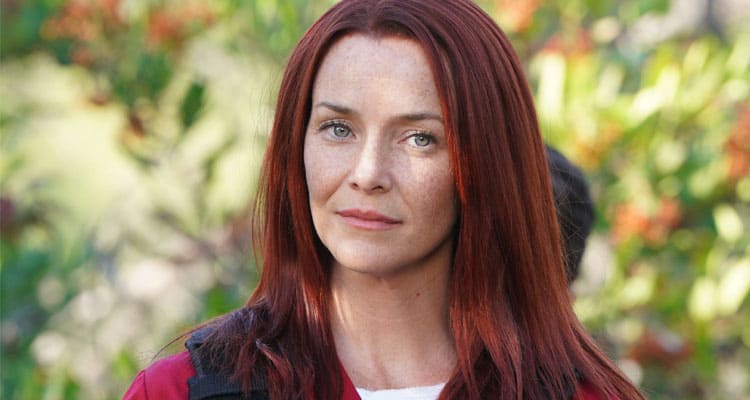Latest News What Happened To Annie Wersching