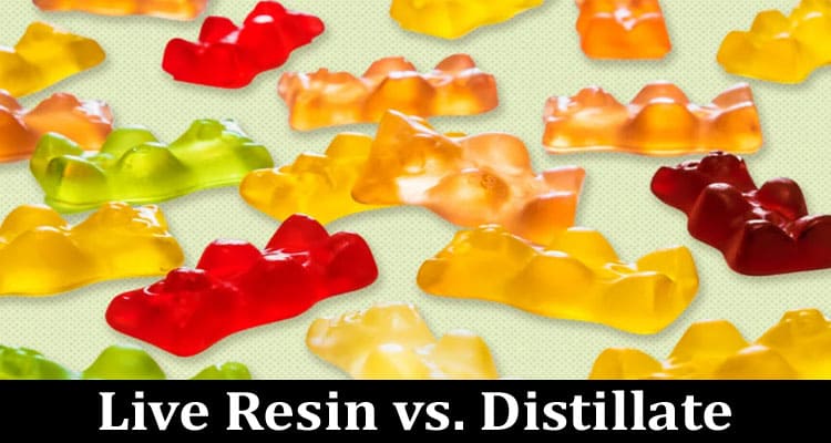 Complete Information About Live Resin vs. Distillate - Understanding the Differences